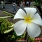 20080118_9d5f034101dced3e4443vfImudFjEz3