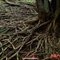 20080118_5d55ac444c6e4f5a5390yjAWRNdECV9