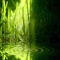 green_1005