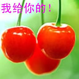 你和我 508957