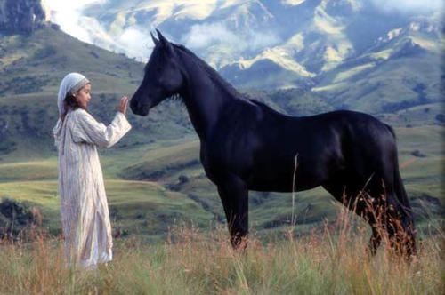 黑神驹前传the young black stallion(2003)剧照 #01