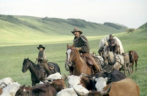 天地无限 官方剧照