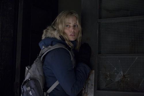 三十极夜30 days of night(2007)剧照 #19