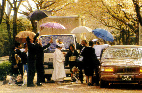 樱花,融雪,车窗,武野藏书店,细雨,单车,伞……勾勒出一场纯净唯美的