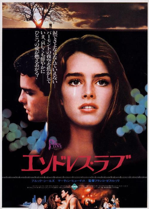 無盡的愛endless love(1981)海報(日本) #02