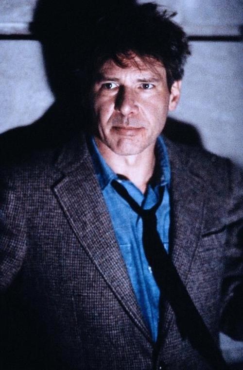 亡命天涯the fugitive(1993)剧照 #22