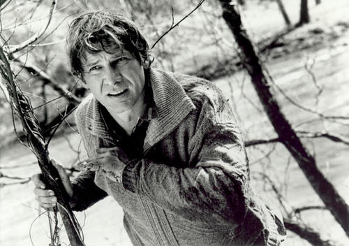 亡命天涯the fugitive(1993)剧照 #05